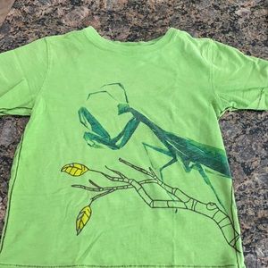 LL Bean boys green T-shirt size 6/7
